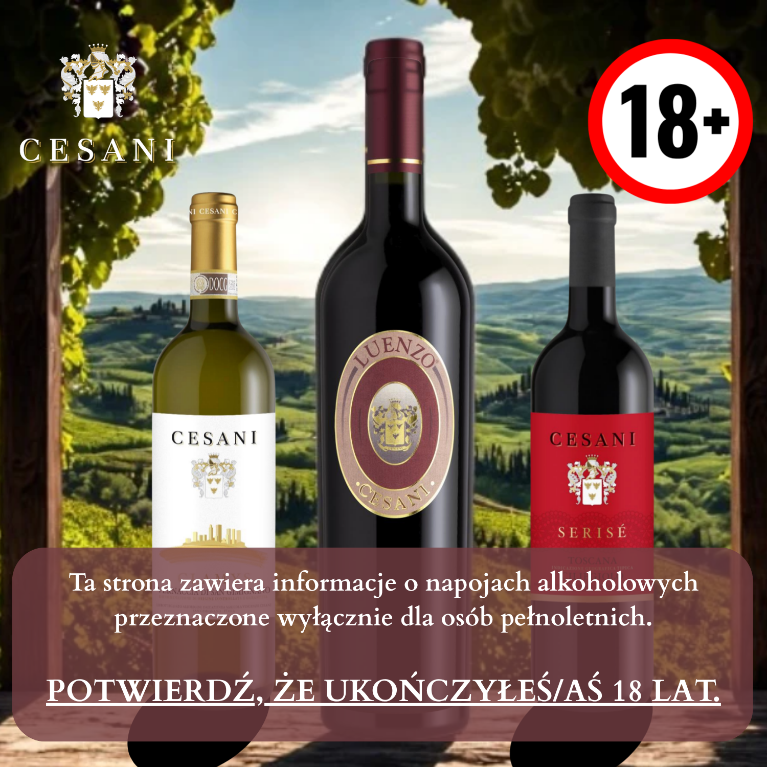 Czy masz ukończone 18 lat?