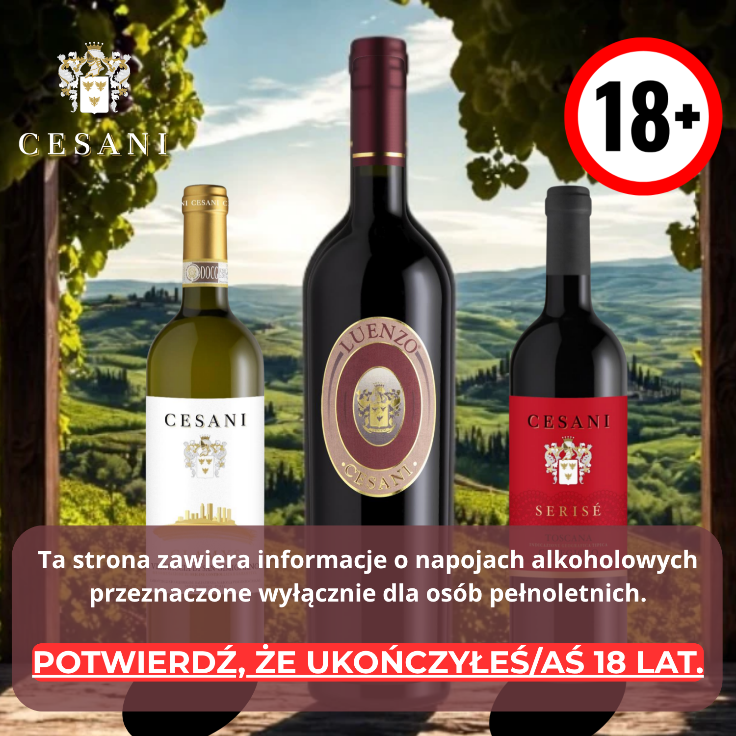 Czy masz ukończone 18 lat?